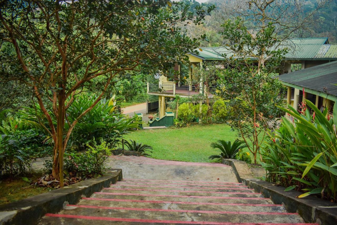 Blue Magpie Lodge Sinharaja Kudawe Dış mekan fotoğraf