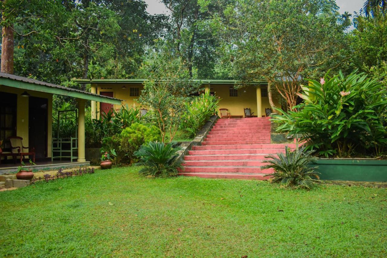 Blue Magpie Lodge Sinharaja Kudawe Dış mekan fotoğraf